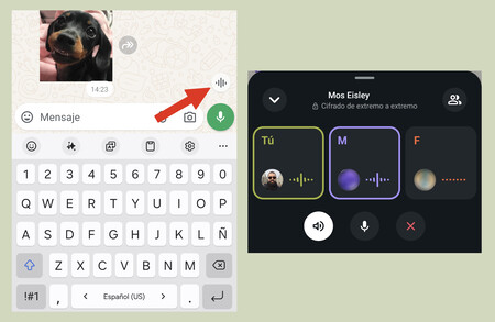 Icono Ondas WhatsApp