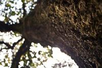 Informática + medio ambiente = ¿nueva era?