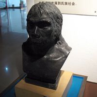 En 1958 encontramos un cráneo con 300.000 años en China. El problema es que no sabemos a qué "Homo" pertenece 