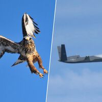 200 drones nas mãos de um único soldado: China avança rapidamente em tipo de guerra que até recentemente parecia ficção científica 