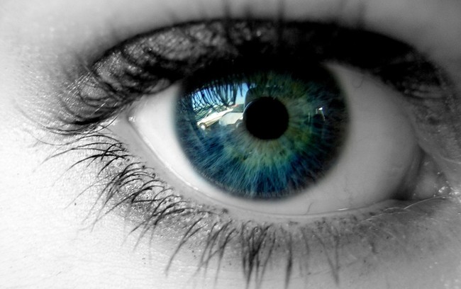 Ojo