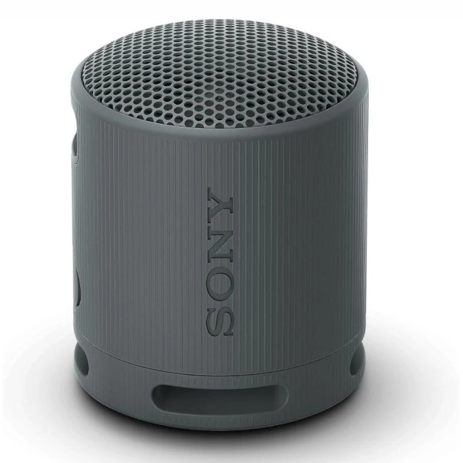 Sony SRS-XB100