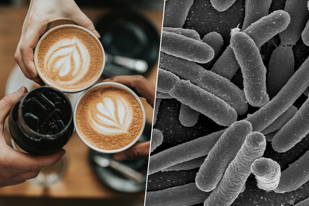 Sabíamos que el café era bueno para la salud, pero ahora hemos descubierto que es un gran aliado de nuestra microbiota 