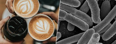 Sabíamos que el café era bueno para la salud, pero ahora hemos descubierto que es un gran aliado de nuestra microbiota