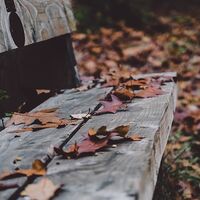 Noviembre negro para los autónomos: toque de queda, devolución de impuestos y segundo plazo del IRPF