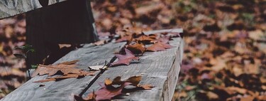 Noviembre negro para los autónomos: toque de queda, devolución de impuestos y segundo plazo del IRPF