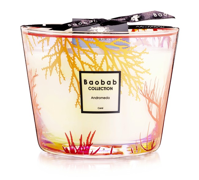 Nueva edición limitada de velas de Baobab Collection inspirada en la