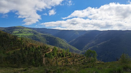 Ruta Teixo Os Teixois