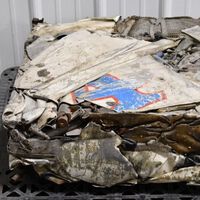 Este cubo de basura fue un coche de carreras en la Indy 500 en 1971. Estos días fue subastado por más de 100 mil pesos