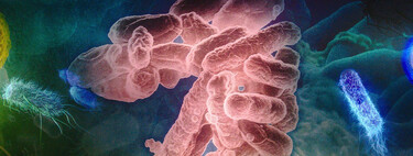 No sabíamos por qué algunas superbacterias eran resistentes a los antibióticos. Esta IA lo ha averigado en dos días