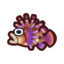 Lion fish
