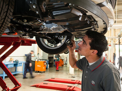 Cuántos tipos de filtros tiene un coche, cuándo hay que cambiarlos y qué pasa si no lo hacemos 