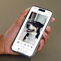 Llevo años buscando editores de fotos para el iPhone. Resulta que ya hay uno instalado, que es gratis y me sirve en el 99% de los casos 