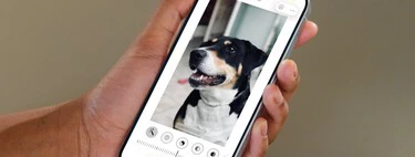 Llevo años buscando editores de fotos para el iPhone. Resulta que ya hay uno instalado, que es gratis y me sirve en el 99% de los casos  Llevo años buscando editores de fotos para el iPhone. Resulta que ya hay uno instalado, que es gratis y me sirve en el 99% de los casos