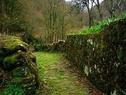Slieve Bloom: Un bosque de hadas en Irlanda