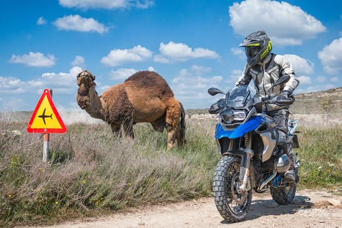 ¡Ensuciarse o morir! Así va la BMW R 1200 GS Ride, la faceta más campera de la reina de las maxitrail