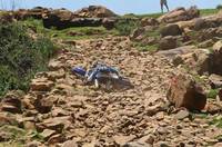 The Roof of Africa 2009