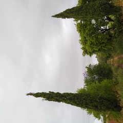 image01