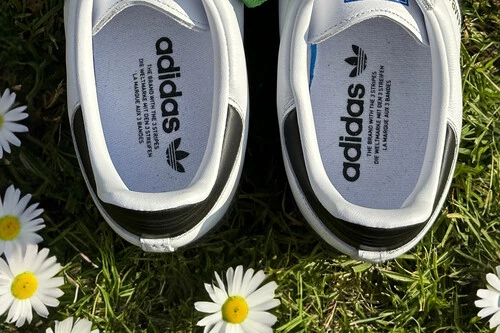 Jacob Leszkiewicz Dupe