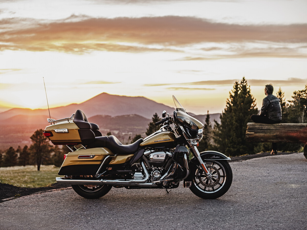 Harley-Davidson MILWAUKEE IRON つなぎ M 1200_900.jpg