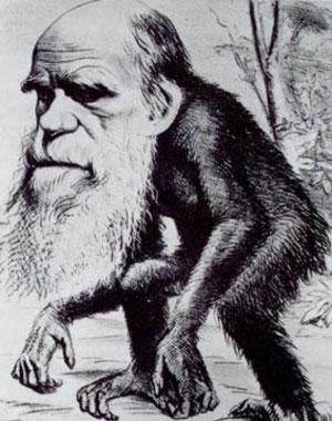 Los británicos dudan de Darwin
