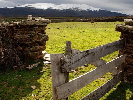 Luis Cobos: "Se le pueden poner puertas al campo y se las vamos a poner"