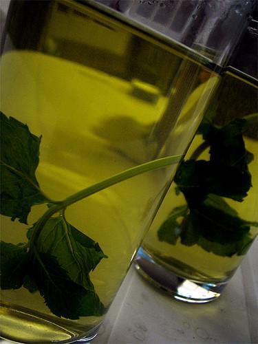 Alimentos que elevan tu metabolismo (VI): el té verde