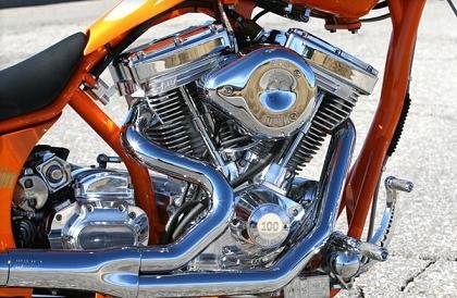 Big Bear Miss Behavin