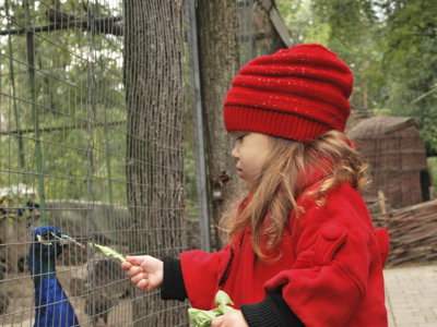 Operación vacaciones de Navidad: 5 planes fantásticos para disfrutar en familia 