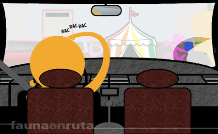 fauna en ruta: sin visibilidad