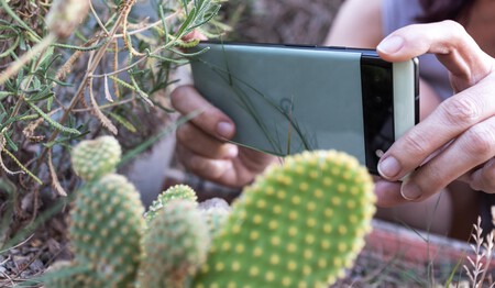 Pixel Plantas
