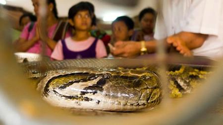 Snake Pagoda