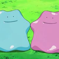 Atento a tus cartas de Pokémon por si aparece un Ditto diminuto en tu colección, porque ocultan algo que te dejará boquiabierto 