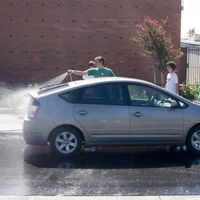 Mosquitos y pájaros, enemigos públicos contra la pintura de tu coche
