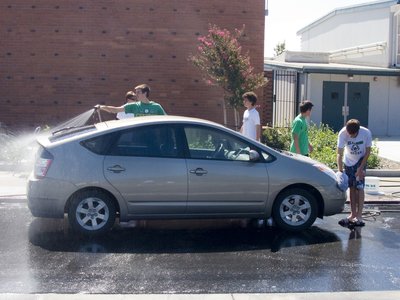 Mosquitos y pájaros, enemigos públicos contra la pintura de tu coche