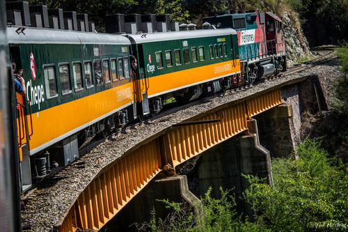 El Chepe, el tren que recorre los estados mexicanos de Sinaloa y Chihuahua