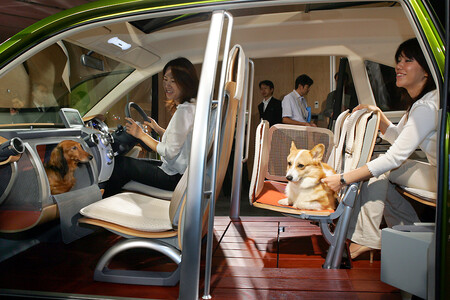 Honda Wow