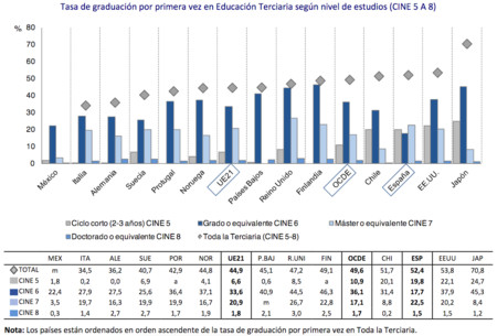 Grafica