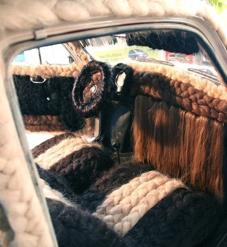 Prepara peine y champú porque este es el coche más peludo del mundo
