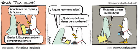 Todos fotógrafos