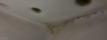 Cómo quitar el sarro del inodoro fácilmente: este truco con papel de cocina lo logra