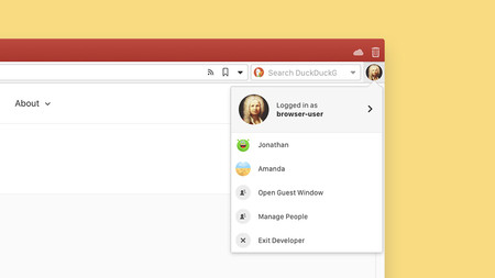 Vivaldi Profile Editor 1