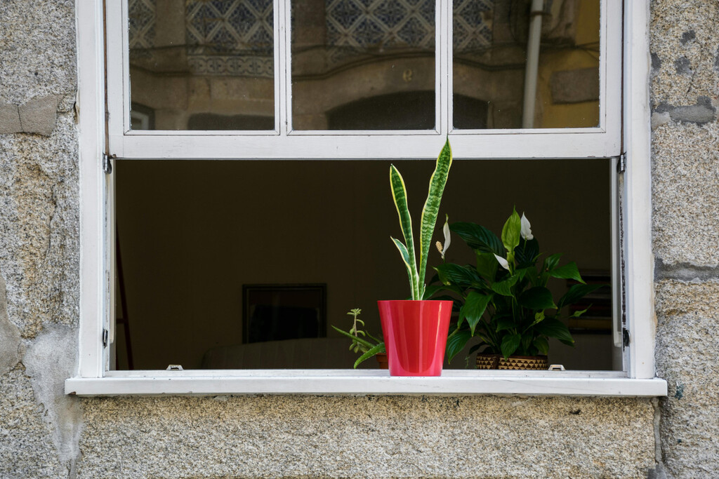 Colgar una bolsa de agua con papel de aluminio junto a la ventana: para qué sirve y por qué se recomienda hacerlo en verano