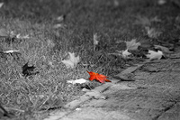 El liderazgo puede mover empresas (I)