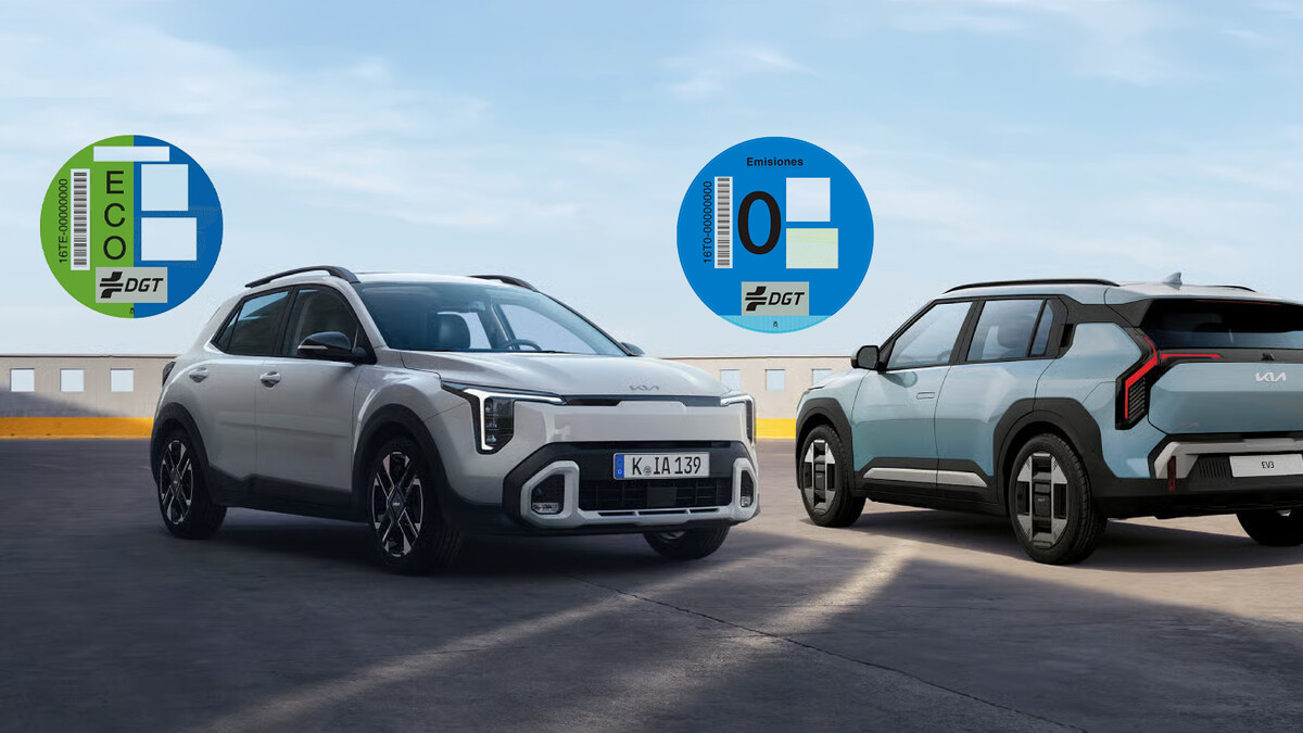 Lexus Partners article image