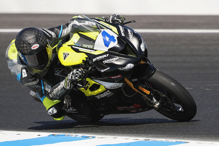 Truelove Phillip Island Ssp 2023