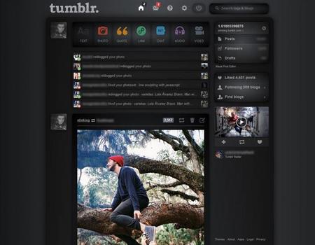 Truco Express: Cambia el diseño de Flickr. Instagram Web o Tumblr con userstyles.org