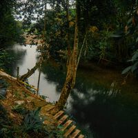 The New York Times Wrote About an Indigenous Tribe's Exposure to the Internet. The Tribe Is Suing It for Portraying It As ‘Porn Addicts’