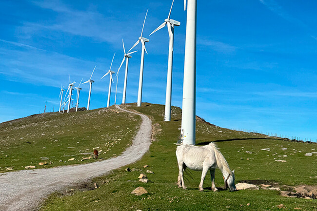Parque Eolico De Labraza