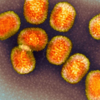 Cientistas acabam de descobrir que este vírus roubou um pedaço do nosso DNA... e agora o usa contra nós! 